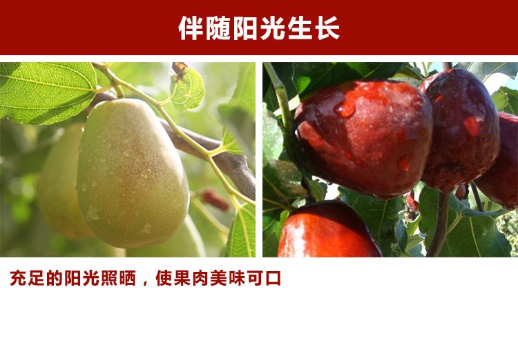 江苏特级红枣 500g